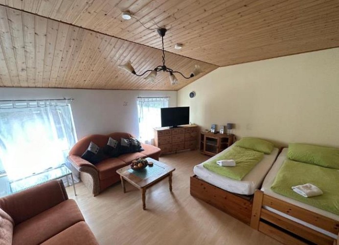 Wohn- und Schlafzimmer